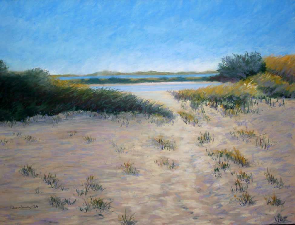 Beach in Camargue, France