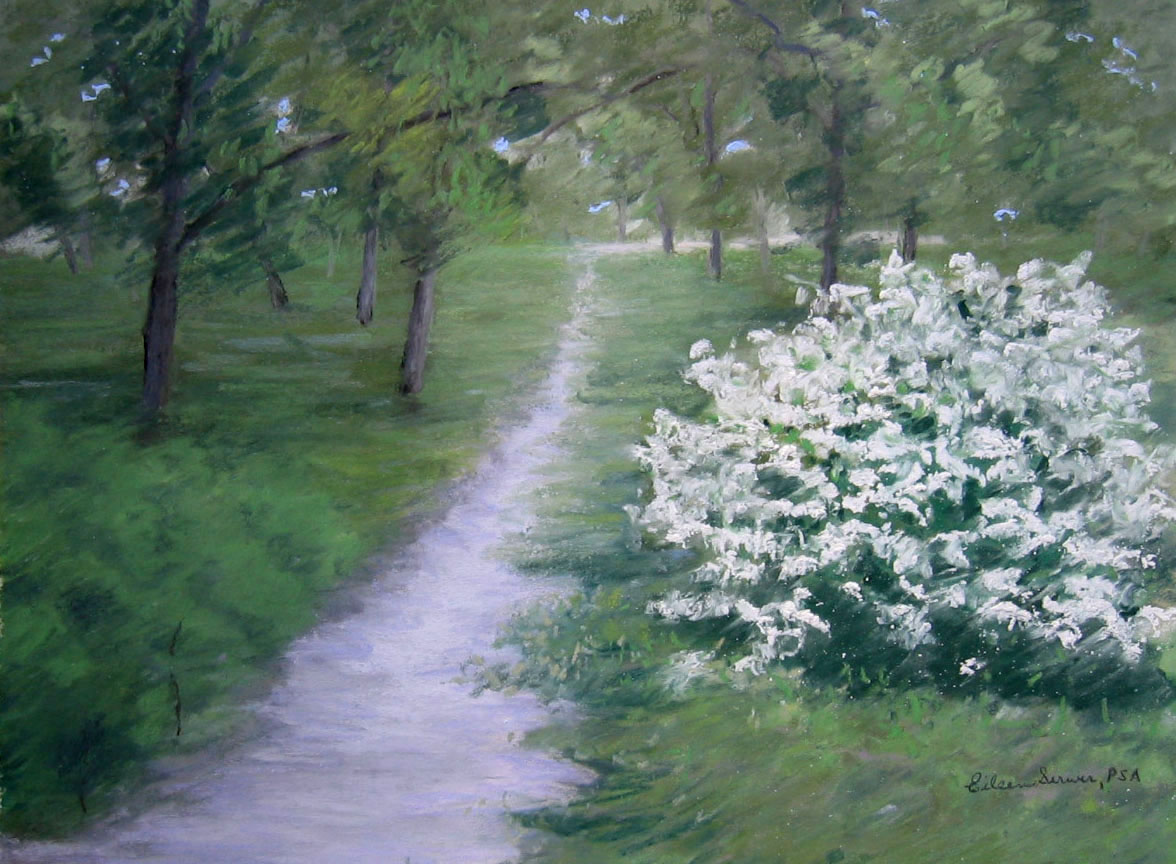 Path in Central Park